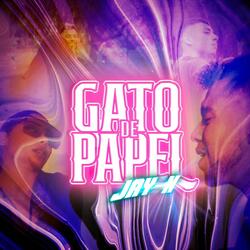 Gato de Papel