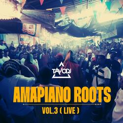 Amapiano Roots, Vol. 3