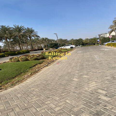 Balling in Kuwait