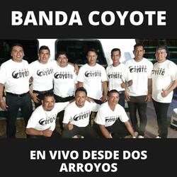 Ya No Se Usa Peludo / El Guayabo