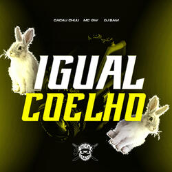 Igual Coelho