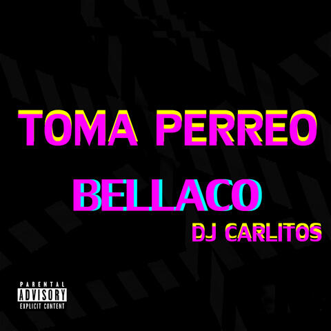 Toma Perreo Bellaco