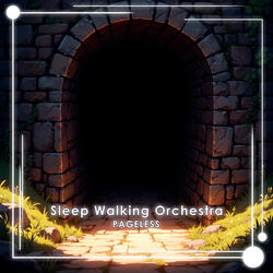 Sleep Walking Orchestra