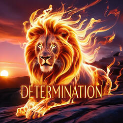 Determination