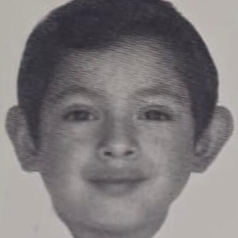 Del-Fino