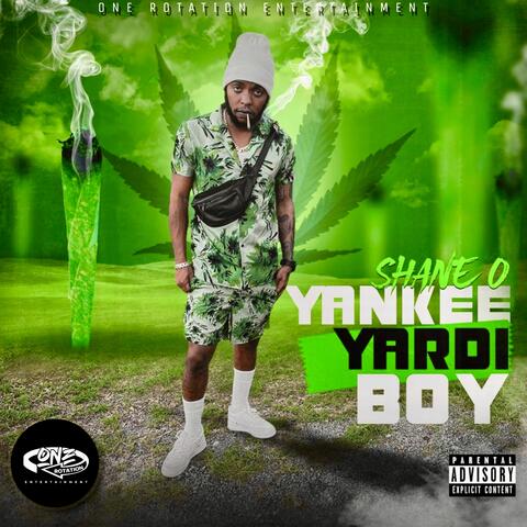 Yankee Yardi Boy