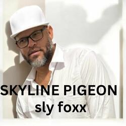 Skyline Pigeon