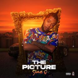 The Picture