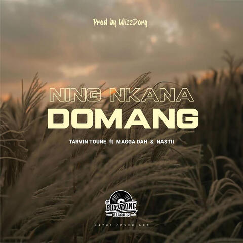 Ning Nkana Domang
