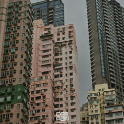 With Me Lofi