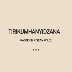 Tirikumhanyidzana
