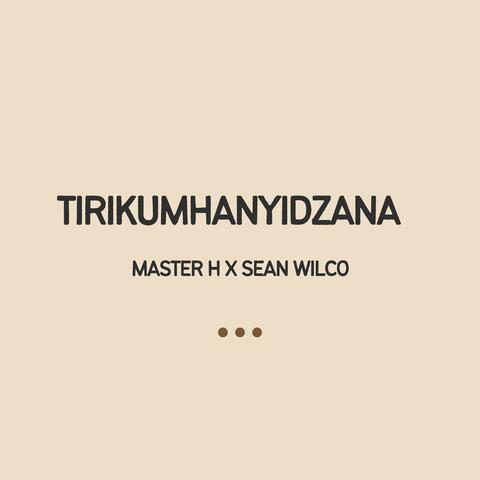 Tirikumhanyidzana