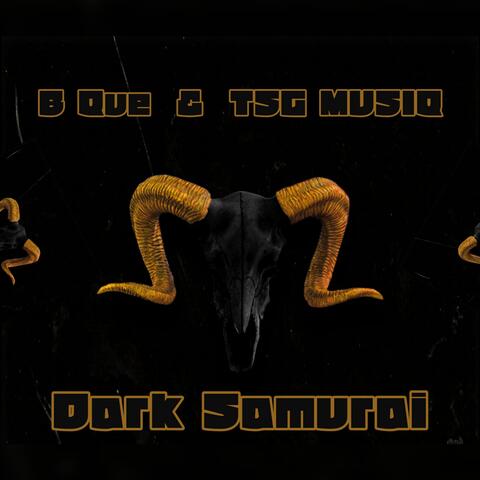 Dark Samurai