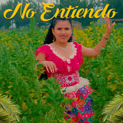 No Entiendo