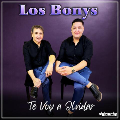 Te Voy a Olvidar