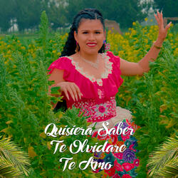 Quisiera Saber/Te Olvidare/Te Amo