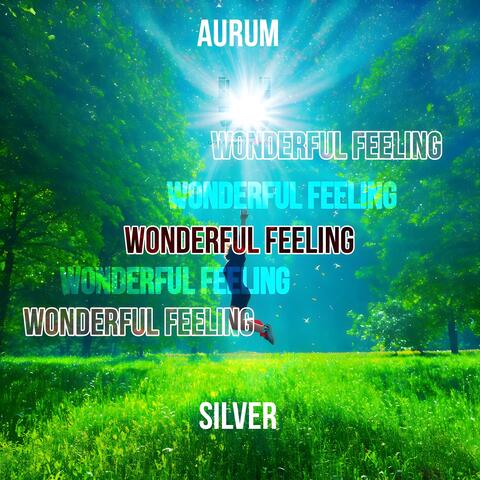 Wonderful Feeling