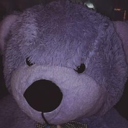 Querido Kafka Segfgerdradsway