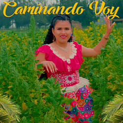 Camiando Voy