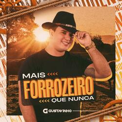 Meu Cavalo Deu um Show