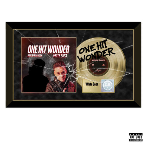 One Hit Wonder