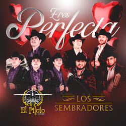 Eres Perfecta