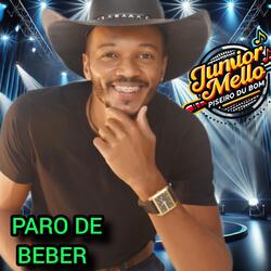 Paro de Beber