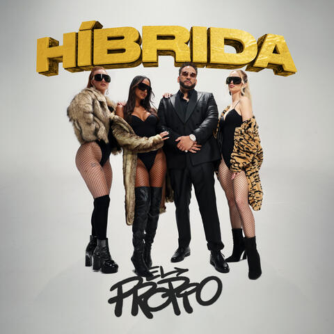 Híbrida