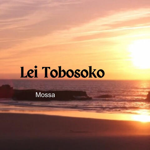 Lei Tobosoko