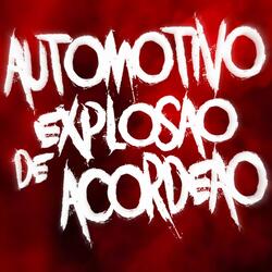 AUTOMOTIV O EXPLOSÃO DE ACORDEÃO