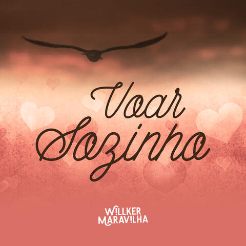 Voar Sozinho