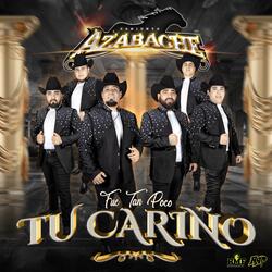 Fue Tan Poco Tu Cariño