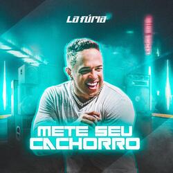 Mete Seu Cachorro