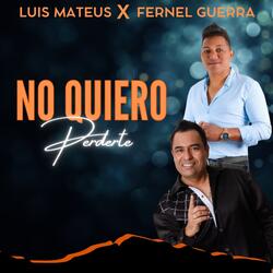 No Quiero Perderte