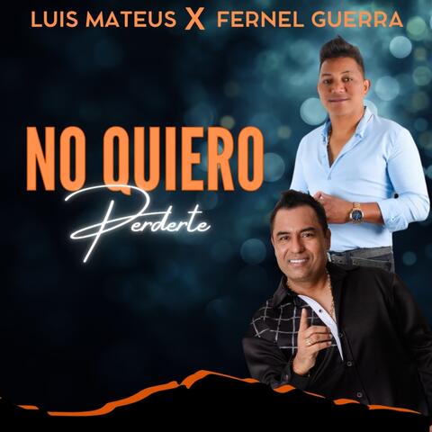 No Quiero Perderte