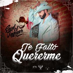 Te Faltó Quererme