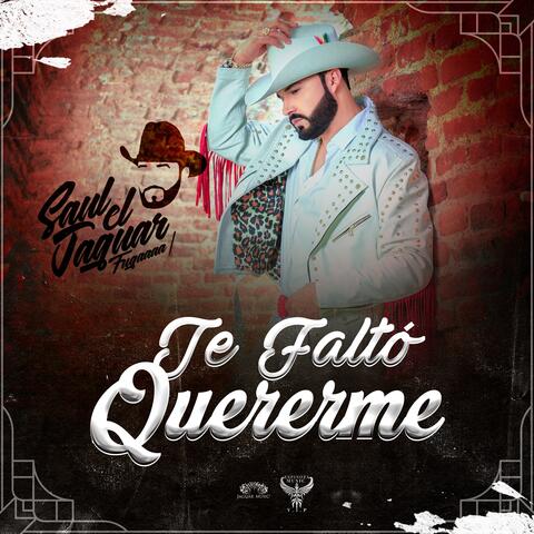 Te Faltó Quererme