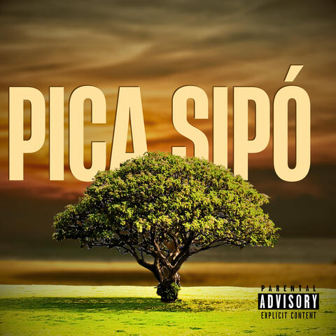 Pica Sipó