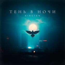 Тень в ночи