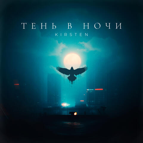 Тень в ночи