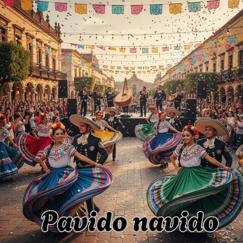 Pavido Navido