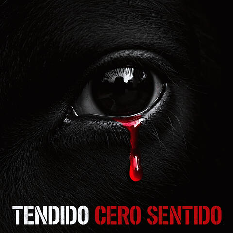 Tendido Cero Sentido