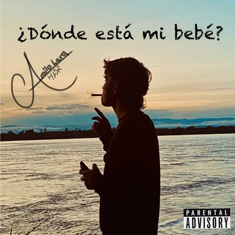 ¿Dónde Está Mi Bebé?