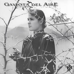 No Me Preguntes (Total)