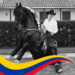 Amor de Cabalgata Col