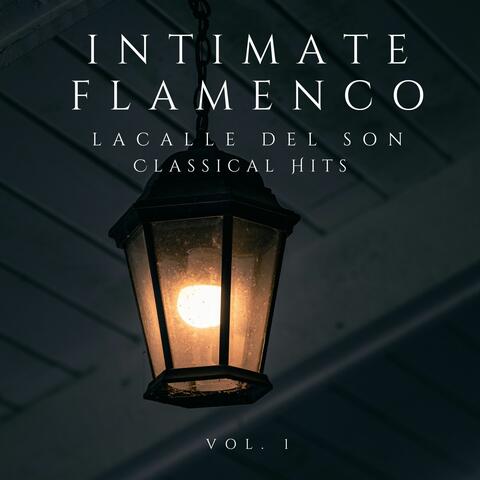 Intimate Flamenco Vol.1