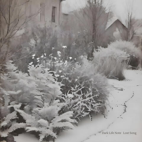 Lost Song