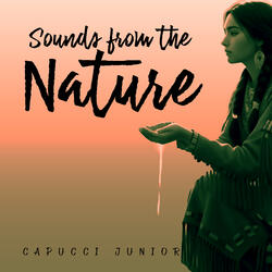 Sounds from the Nature
