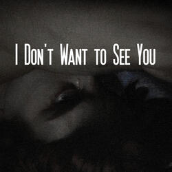 I Don't Want to See You