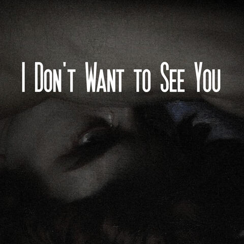 I Don't Want to See You